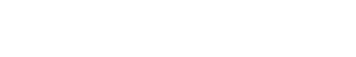 Consulo logo